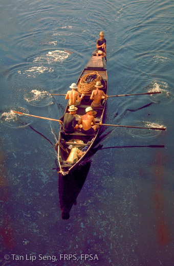 Rowing Home
