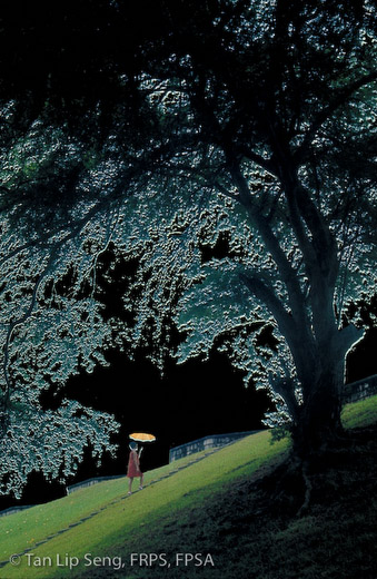 One Fine Day (Courtesy of National Museum Permanent Collection)