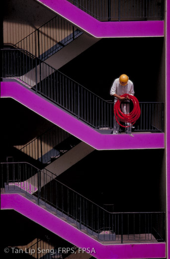 The Red Hose