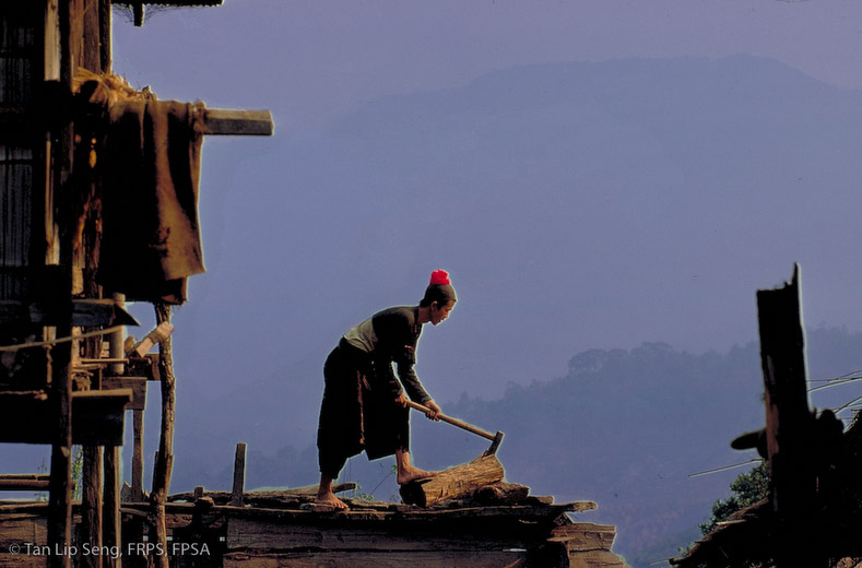 Wood Chopping