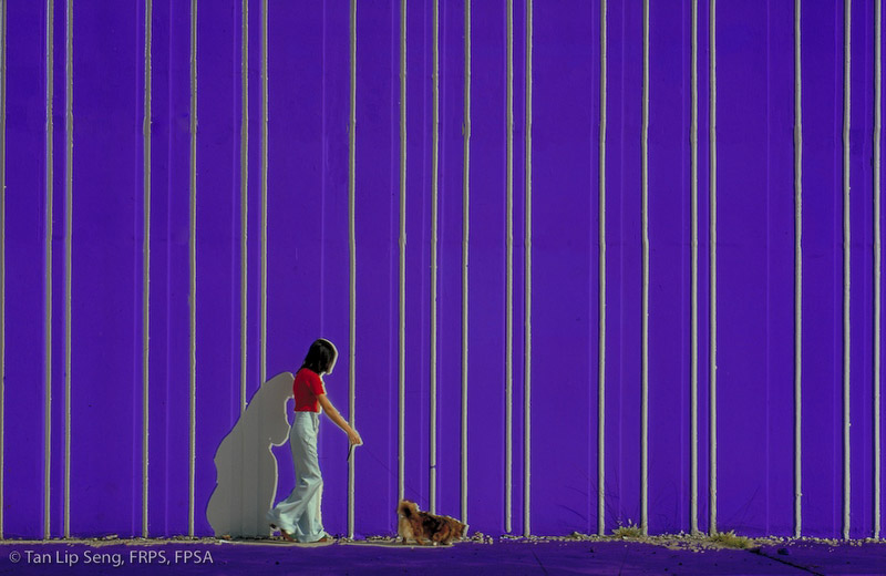 Walking Her Dog