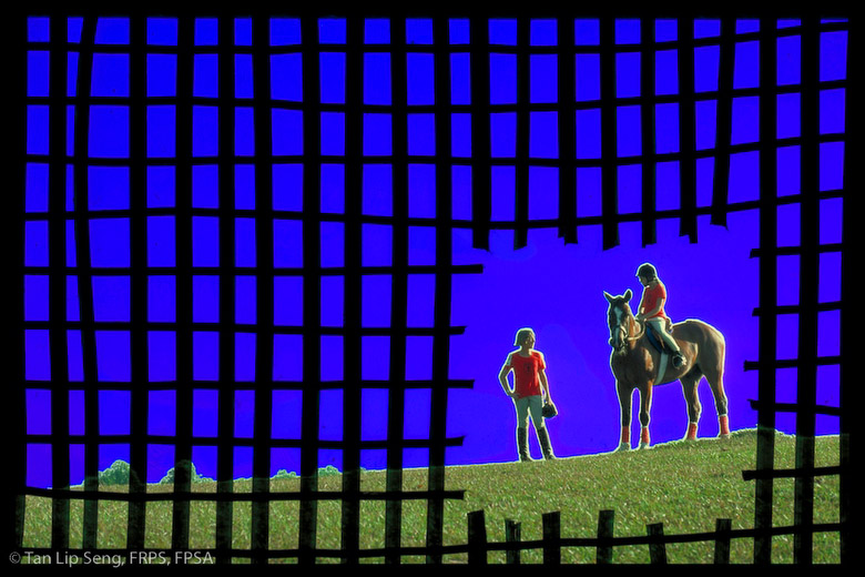 The Frame