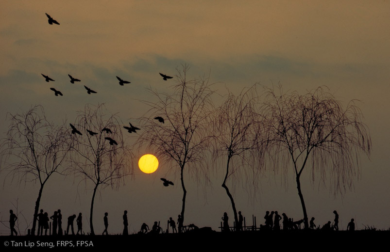 Glory Of Sunset