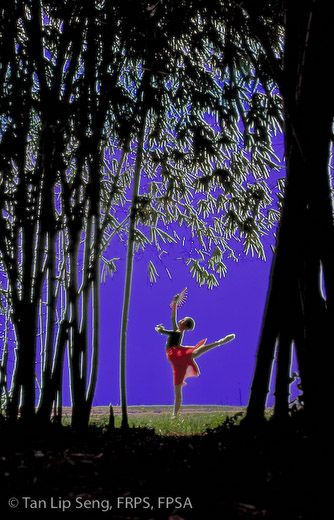 Voices Of Spring