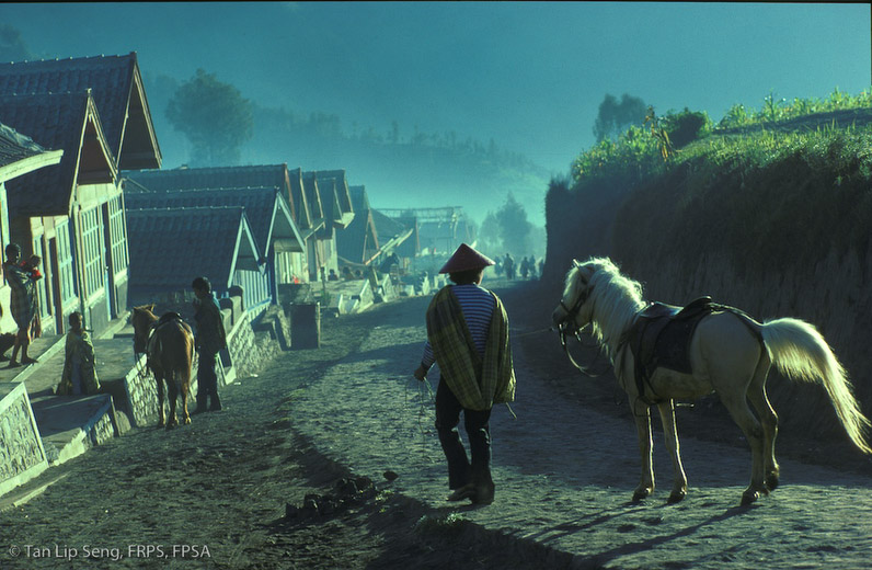 Journey Of The Day