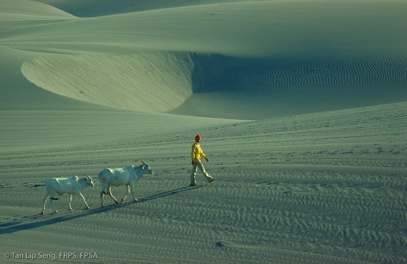 Follow The Footsteps