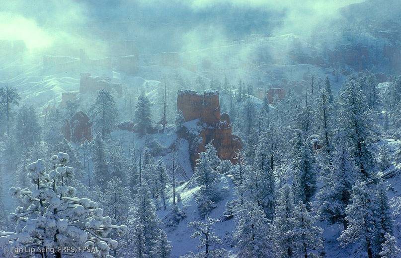 White Christmas