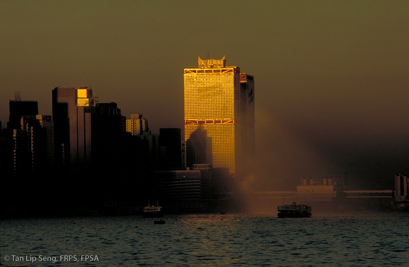 Habour At Dawn