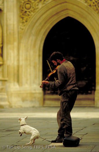 A Busker's Performance