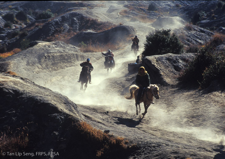A Rough Ride