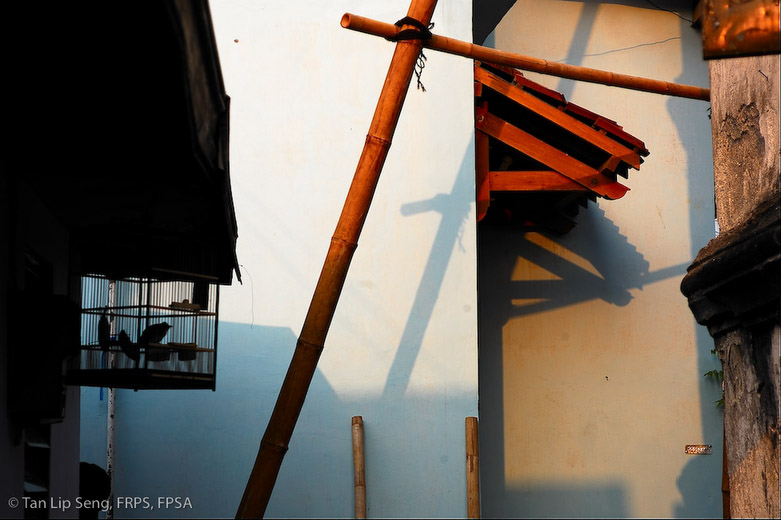 A Simple Composition In Daily Life