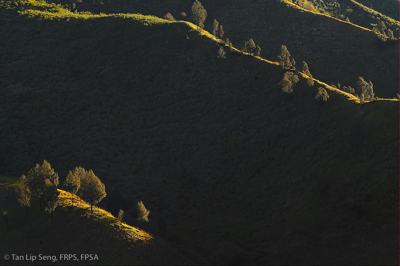 First Light At Savana