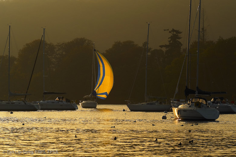 Homeward Sail At Bowness On Windermere