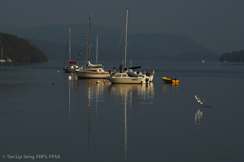 On Lakeside Windermere