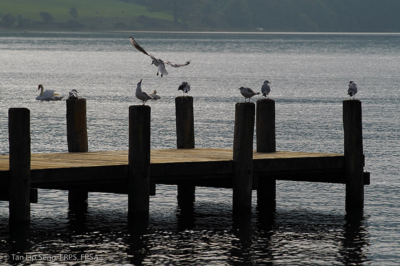 My View Of Coniston Water