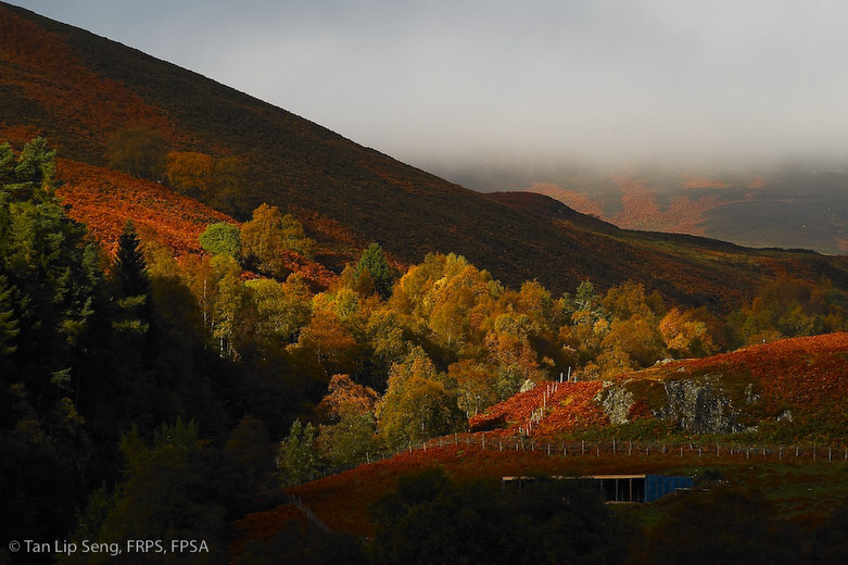 Autumn In A Valley
