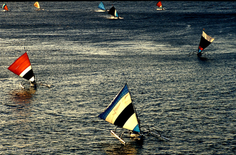 Returning Home
