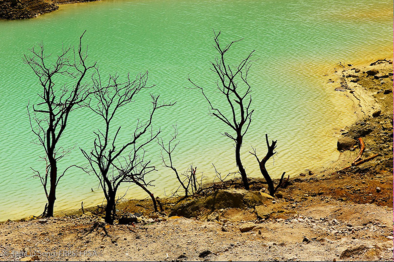 Landscape Of Kawah Putih