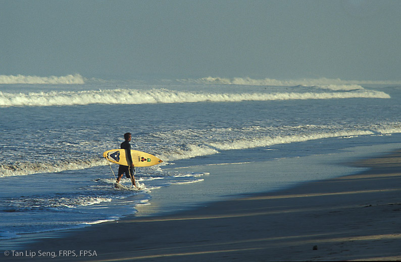 Seaching For Surfer