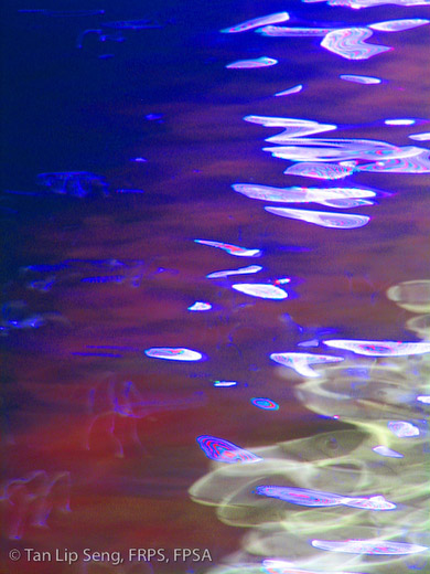 Reflection Of Love River